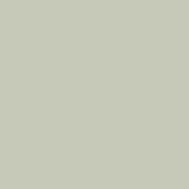 Studio Light Gray