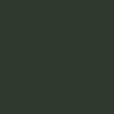 Studio Rich Green
