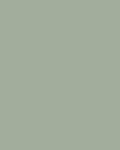 Versilite Sage
