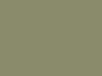 ZenoLite Khaki