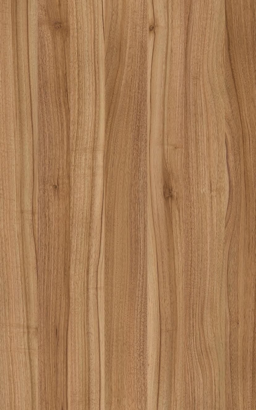Honey Walnut — Honey Walnut in situ