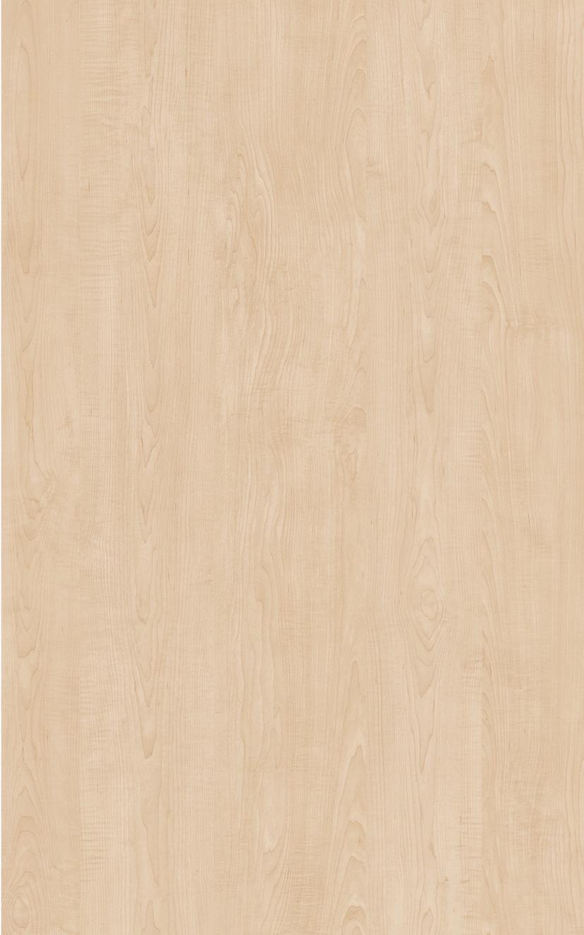 Natural Birch — Natural Birch in situ