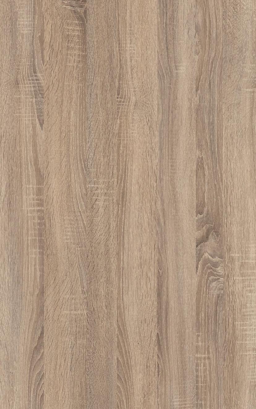 Sandy Oak — Sandy Oak in situ