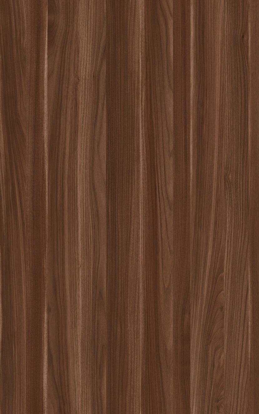 Southern Walnut — Southern Walnut in situ