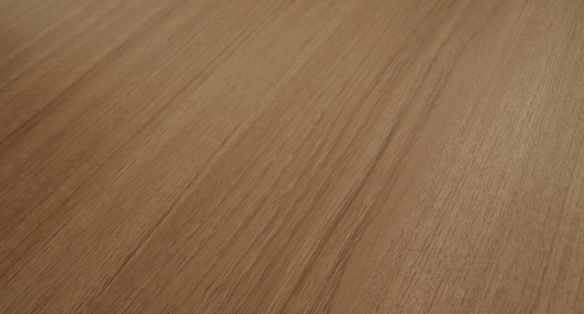 Coastal Blackbutt — Surface detail