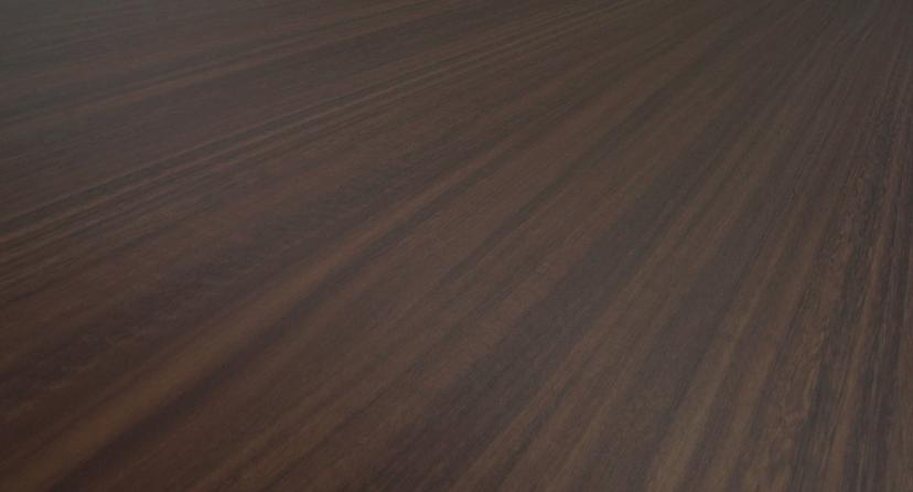 Rich Eucalypt — Surface detail