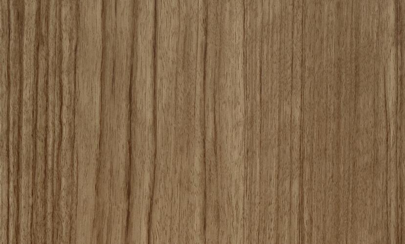 Coastal Blackbutt — Surface detail