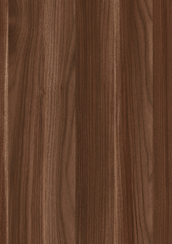Southern Walnut