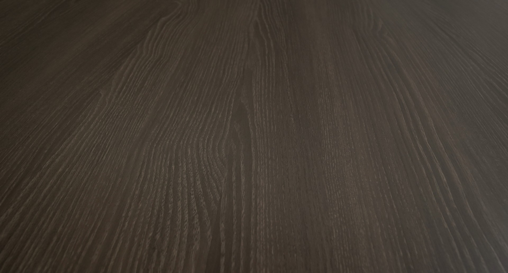 Charred Ash closeup 2
