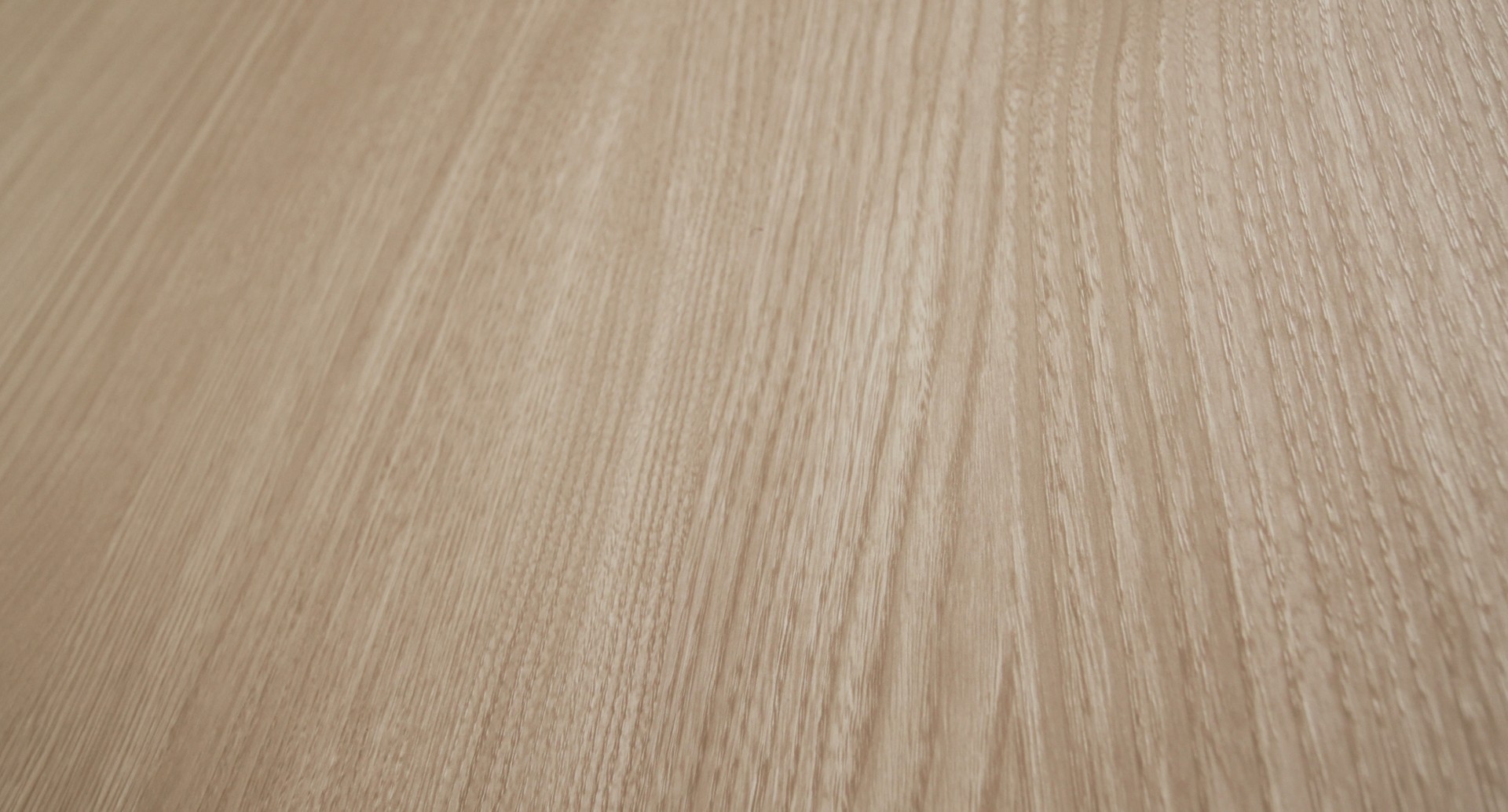 Coastal Ash closeup